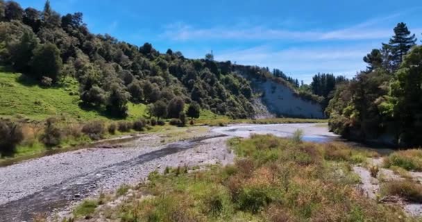 Tiefflüge Über Dem Glitzernden Kawhatau Fluss Und Dem Grünen Tal — Stockvideo