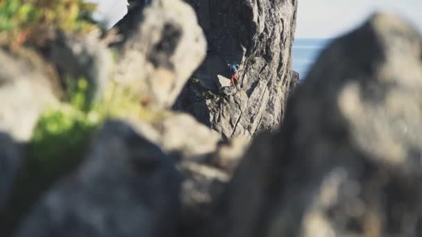 Person Trad Climbing Steep Cliff Seaside Norway Lofoten Region Reveal — Stok video