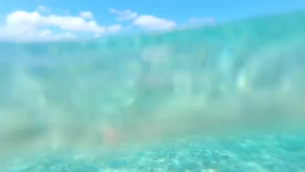 Underwater View Tropical Exotic Beach Riviera Maya Quintana Roo Mexico — ストック動画