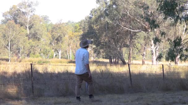 Farmer Walks Fenceline Farm Rural Victoria Australia — стоковое видео