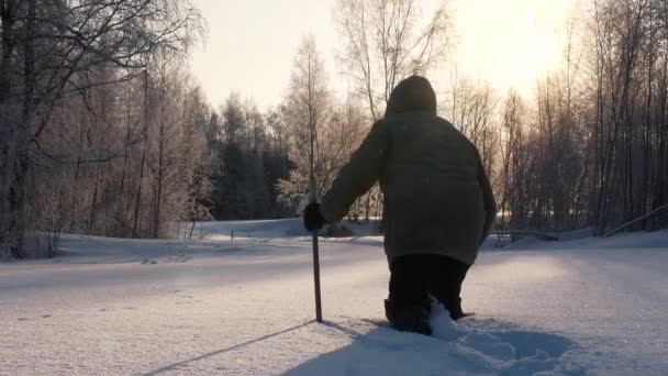 Arctische Ontdekkingsreiziger Wandelen Sneeuw Prachtige Winter Achtergrond — Stockvideo