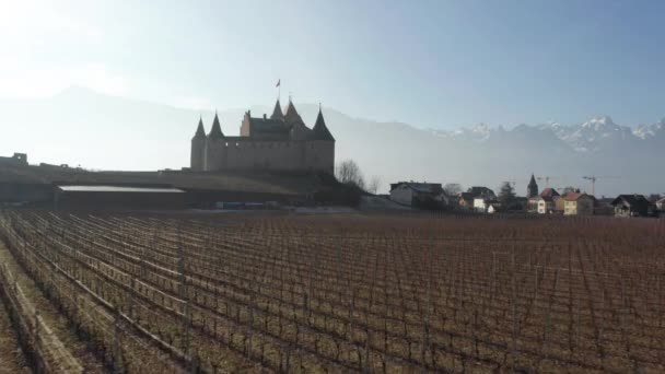 Drone Voando Lentamente Sobre Vinha Direção Belo Castelo Antigo Lentamente — Vídeo de Stock