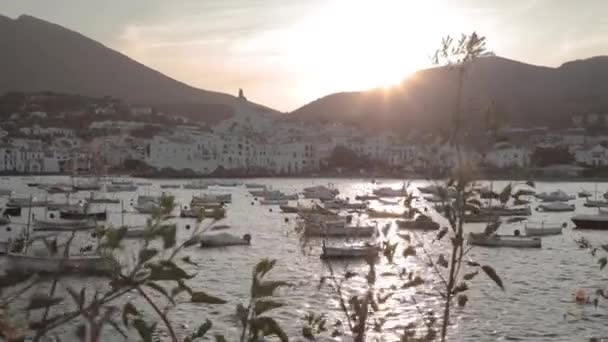 Luxurious Boats Floating Spanish Harbor Golden Hour Roses Costa Brava — ストック動画