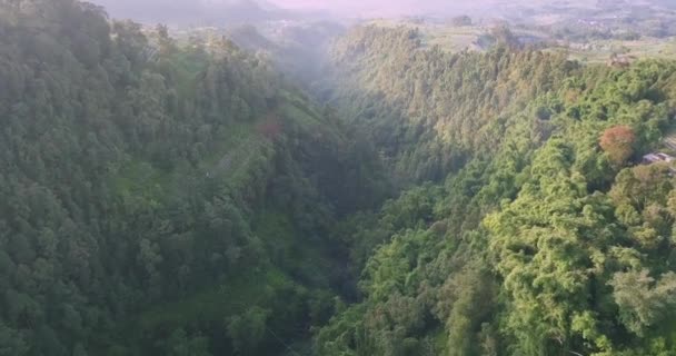 在多雾和阳光明媚的日子里 在印度尼西亚绿色自然上空缓慢的空中飞行 带有峡谷 高山和生长中的植物和树木的田园风光 — 图库视频影像