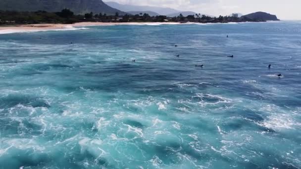 Surfistas Oceano Azul Profundo Espera Ondas Makaha Beach Oahu Hawaii — Vídeo de Stock