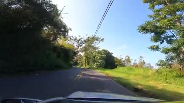 Driving Curvy Hana Road Maui Hawai Point View Driver Windshield — Vídeo de Stock