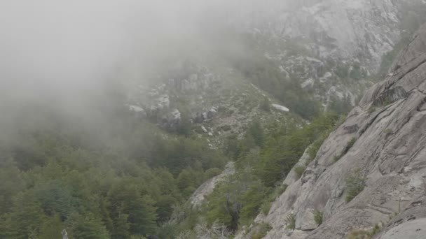 Nuvole Che Attraversano Muro Granito Foresta Nativa — Video Stock