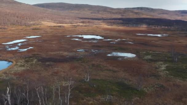 Aerial View Autumn Tundra Vast Marshes Crisscrossed Streams Creeks Slow — ストック動画