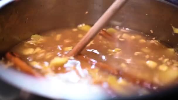 用木勺在不锈钢罐子中混合英格威烈酒配料的固定镜头 她正在做一种自制姜汁酒 叫做英格韦勒 原产于瑞士伯尔尼 — 图库视频影像