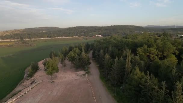 Aerial Drone Shot Green Forest Latrun Israel Sunset Hilly Terrain — Video Stock