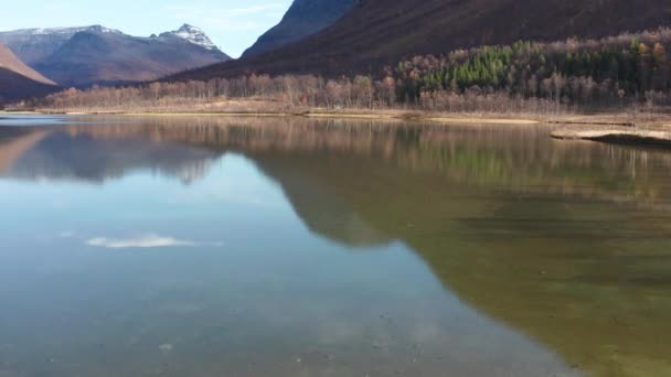 Pemandangan Udara Dari Danau Dangkal Langit Dan Pohon Tercermin Perairan — Stok Video