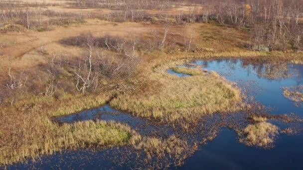 Повітряний Вид Осінні Болота Північної Норвегії Блакитне Небо Відбивається Дзеркальних — стокове відео