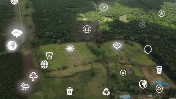 Футуристический Аэродинамический Вид Лесного Покрова Футуристическая Концепция Изменения Климата — стоковое видео