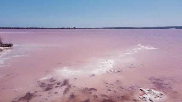 トルレビエハ アリカンテ スペイン ピンク塩水湖の空中ドローンビュー フライオーバー — ストック動画