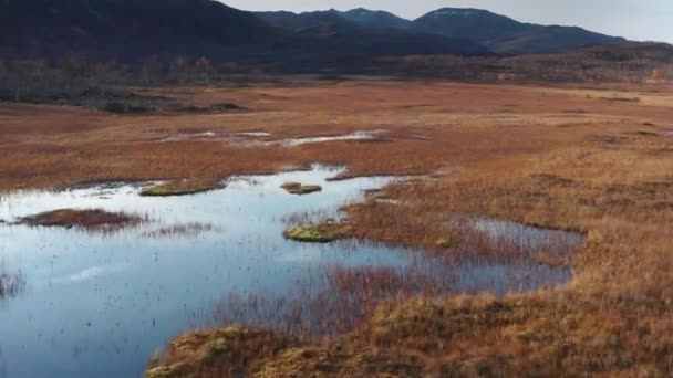 Fly Marshland Lakes Ponds Scattered Mountains Tower Horizon — Video