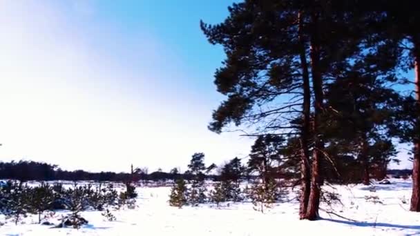 Establishing Shot Winter Snowy Countryside Landscape Pan Left Day — стоковое видео