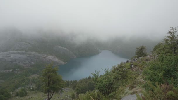 Uzakta Bir Göl Planda Yerli Bir Orman Yağmurlu Gün — Stok video