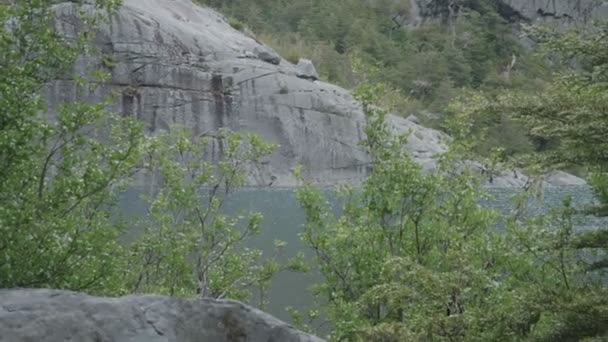 Λίμνη Στην Απόσταση Μέσα Από Ένα Ιθαγενές Δάσος — Αρχείο Βίντεο