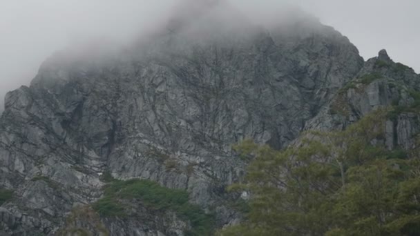 雲が通過するとの距離に巨大な花崗岩の壁のクラスアップ 手前の原生林 — ストック動画