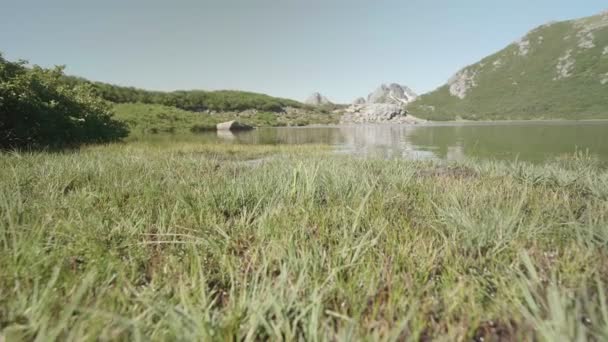 Kamera Yere Yakın Ileri Doğru Hareket Ediyor Arka Planda Dağ — Stok video