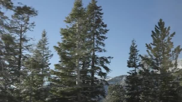 Piękny Krajobraz Jeziora Tahoe Drzewami Douglas Fir Pasmem Górskim Przechodzącym — Wideo stockowe