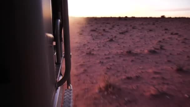 Filmed Moving Safari Car Rear Dusty Sand — Stock video