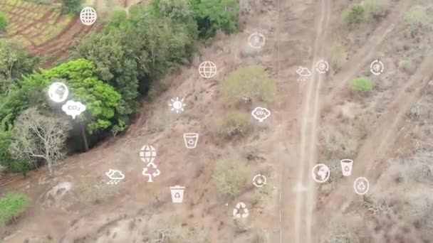 Futuristic Aerial Drone View Forest Coverage Futuristic Climate Change Concept — Video Stock