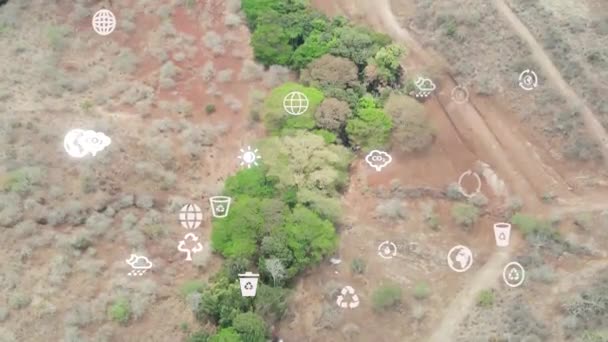 Vista Futurista Del Dron Aéreo Cobertura Forestal Concepto Cambio Climático — Vídeo de stock