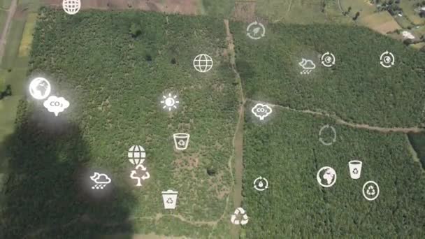 Futuristic Aerial Drone View Forest Coverage Futuristic Climate Change Concept — Video Stock