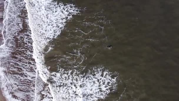 Surfer Paddling Away Shore Drone Pulling Out Expose Beach — Vídeo de Stock