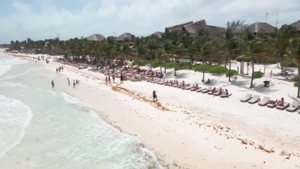 Drona Powietrzna Nad Plażą Tulum Meksyku Ludzie Odpoczywają Leżą Pływają — Wideo stockowe