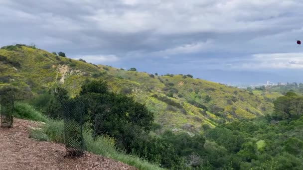 Pohled Vrcholu Betty Dearing Mountain Turistická Stezka Městem Pozadí Večerních — Stock video