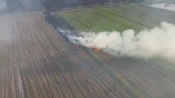 Εναέρια Πλάνα Αυτής Της Φλεγόμενης Γεωργικής Γης Ετοιμάζεται Για Φύτευση — Αρχείο Βίντεο