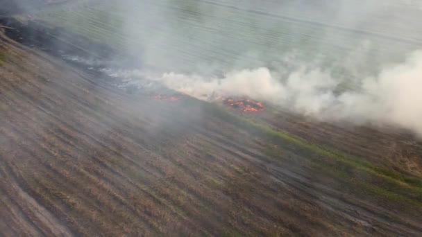 Imagini Aeriene Către Fum Creștere Iarbă Arsă Grassland Burning Pak — Videoclip de stoc