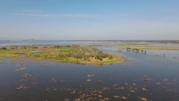 Aerial Footage Island Middle Birds Trees Grass Turning Brown Summer — Wideo stockowe