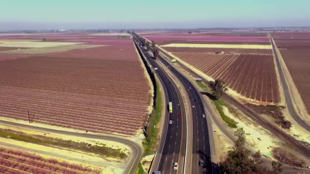 Highway Στην Κεντρική Καλιφόρνια Περιβάλλεται Από Ροζ Άνθη Αμυγδάλου Εναέρια — Αρχείο Βίντεο