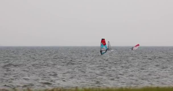 Group Wind Surfers Sailing Wind Ανοικτά Των Ακτών Της Πατάγια — Αρχείο Βίντεο
