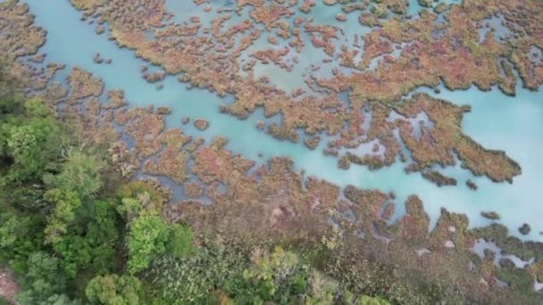 Top Shot Special Place Butrint National Park South Albania — Stock Video