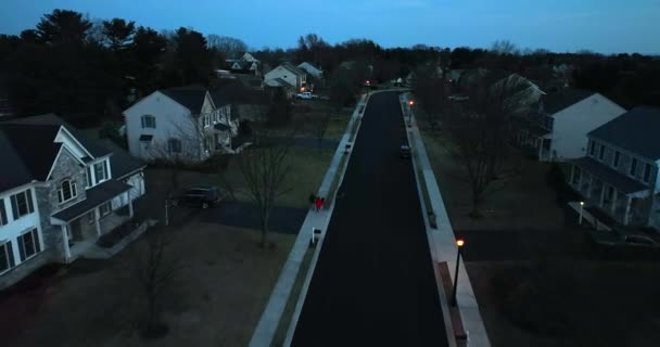 Paio Cani Passeggio Notte Nel Quartiere Americano Buio Vista Aerea — Video Stock