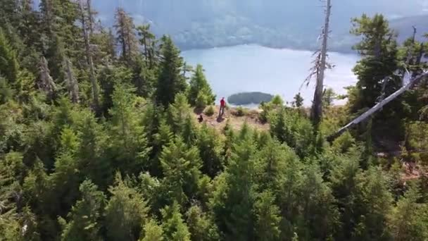 Flygskog Klippa Åskberg Vancouver Island Kanada — Stockvideo
