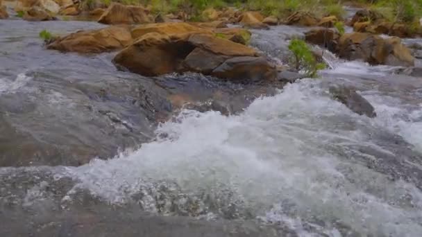 Close Shot River Slow Motion Day Some Rocks Scattered River — Video