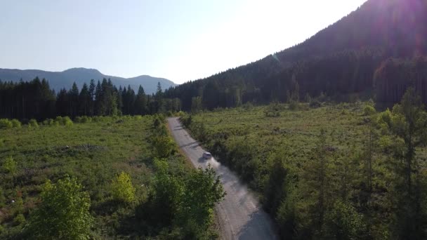 Suv Köra Ner Logging Road Bort Från Kameran Thunder Mountain — Stockvideo