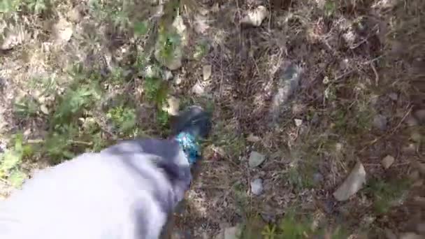 Vandrare Fötter Tittar Ner Trampa Genom Alpina Växter Thunder Mountain — Stockvideo