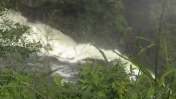 Puncak Victoria Jatuh Musim Hujan Air Terjun Penuh Air Mana — Stok Video