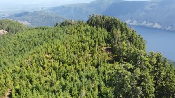 Forêt Croissance Dessus Grand Lac Central Thunder Mountain Île Vancouver — Video