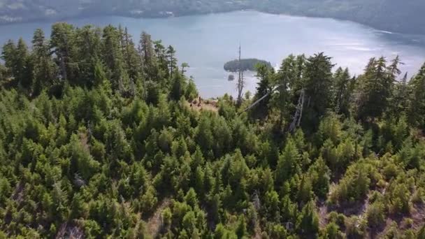 Aerial Drone Looking Summit Second Growth Forest Thunder Mountain Vancouver — Vídeos de Stock