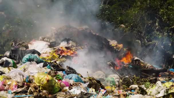 Burning Waste Flames Smoke Rising Basura Ilegal Fuego Que Causa — Vídeos de Stock