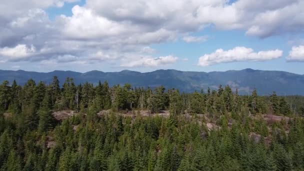 Luchtvaartwestkust Tweede Groeibos Thunder Mountain Vancouver Island Canada — Stockvideo