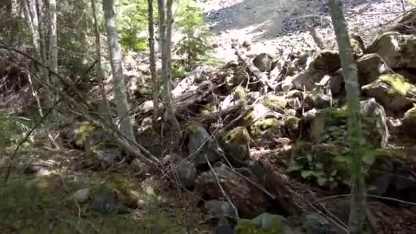 Senderista Mira Hacia Arriba Tobogán Roca Lado Una Antigua Carretera — Vídeo de stock
