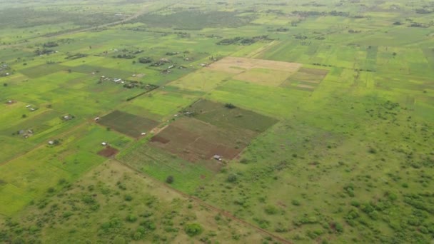 Idyllic Aerial Panorama Lush Green Plantation Loitokitok Kenya — Stock Video
